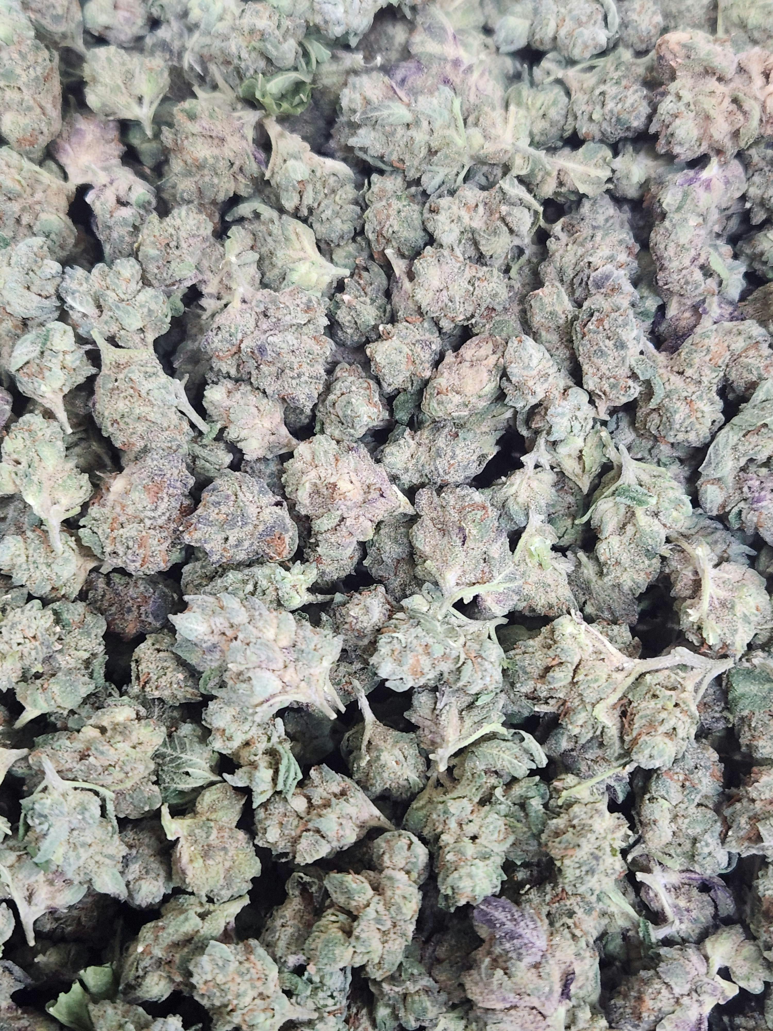 Divine Cultivation Payzos #4