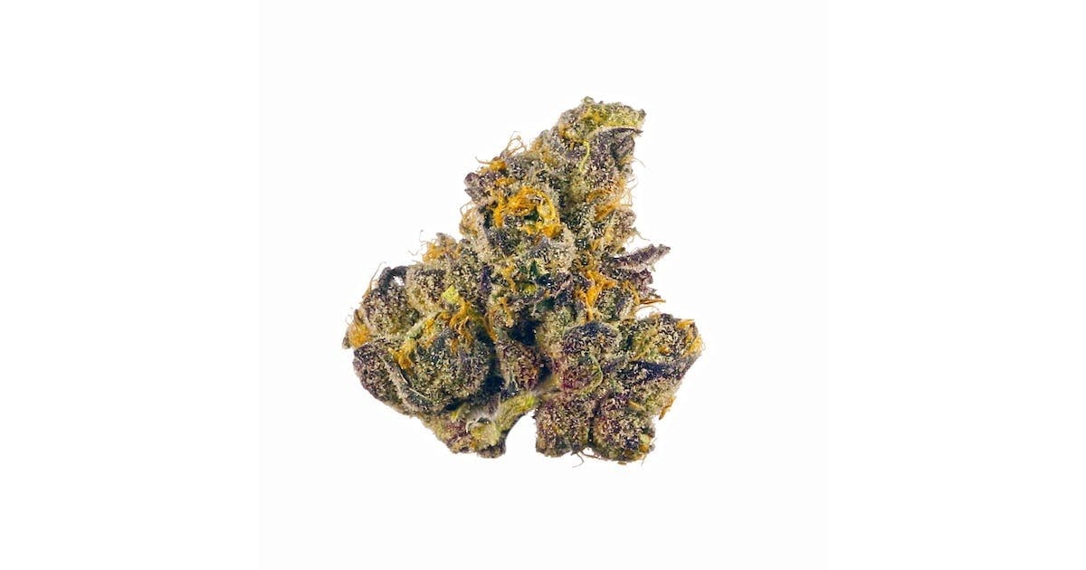 GOVERNMENT OASIS OUNCE 40.69% HIGH THC! Humboldt Grown Indica
