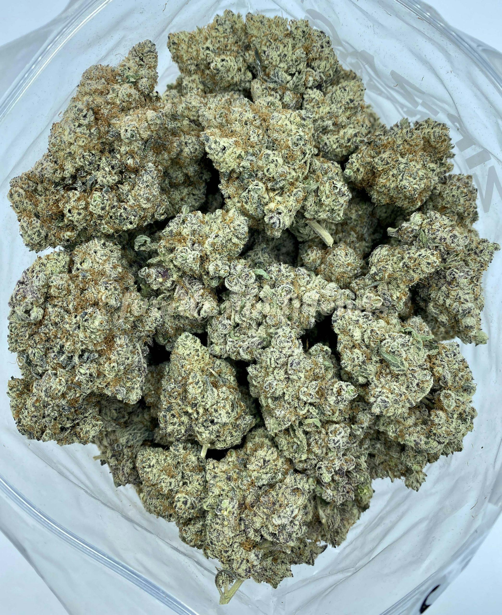 Purple Rose Purple Milk 1/8 G 31.19% THC Humboldt Grown