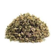 GOVERNMENT OASIS 14 Grams 40% THC SHAKE