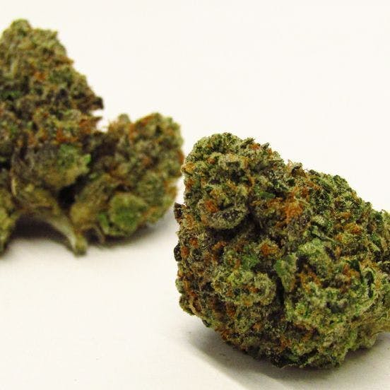 JEALOUSY 14 Grams Gelato x Sherbet