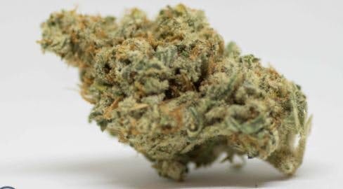 FATSO 14 Grams High THC 33.81%