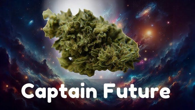 CAPTAIN FUTURE #3 30.1% THC OUNCE