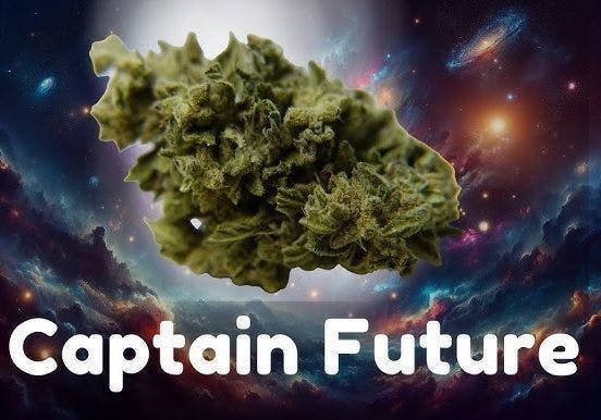 CAPTAIN FUTURE 30.1% High THC 1/2 Ounce