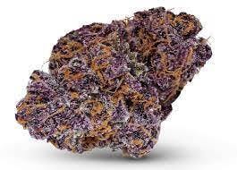 JUNGLE JUICE Sativa 39.1 % THC OUNCE Purple Buds
