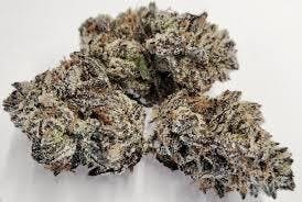 Purple Rose White Truffle 30.03% THC 1/2 Ounce