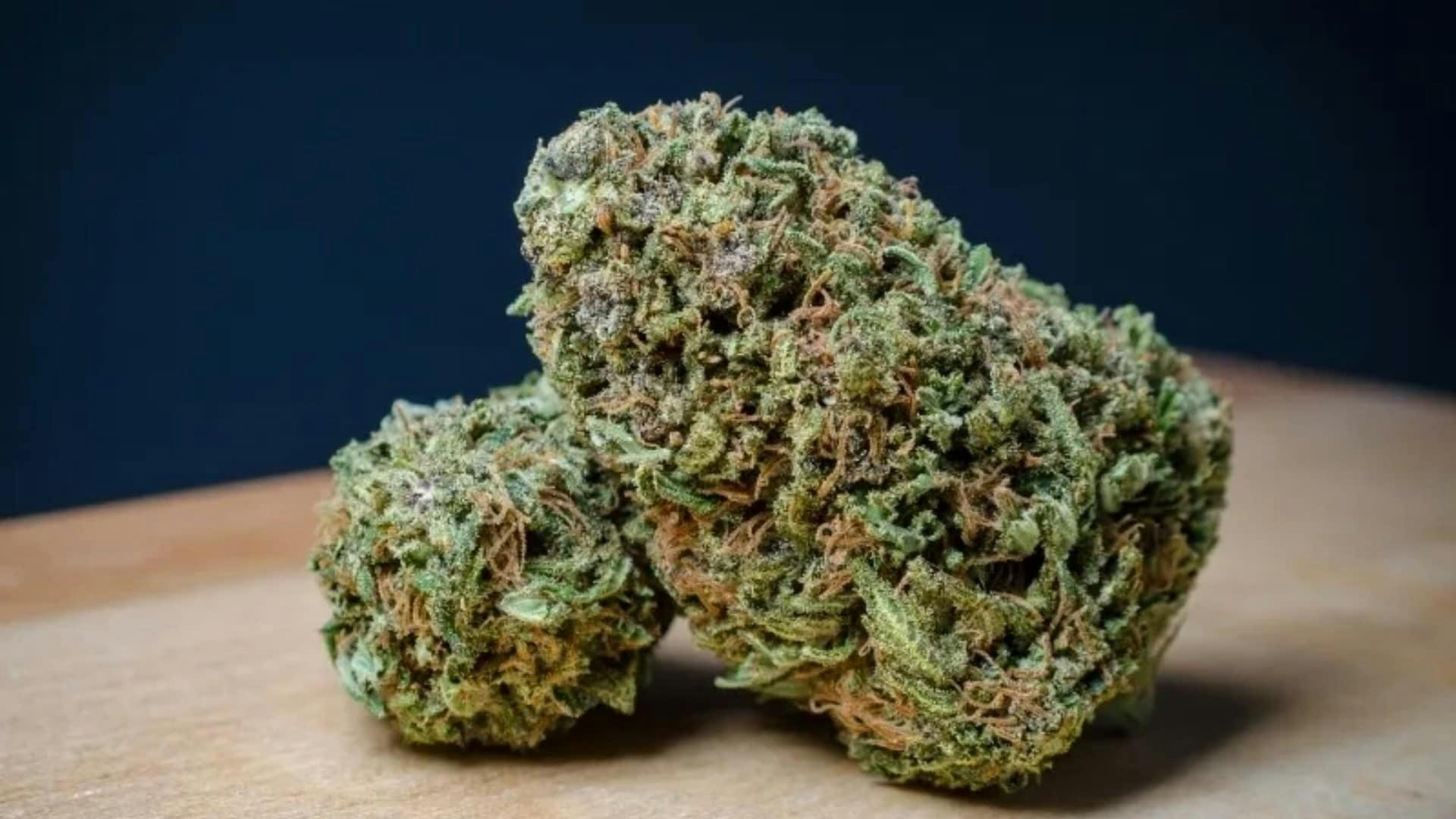 RS 11 Ounce 29.8% THC