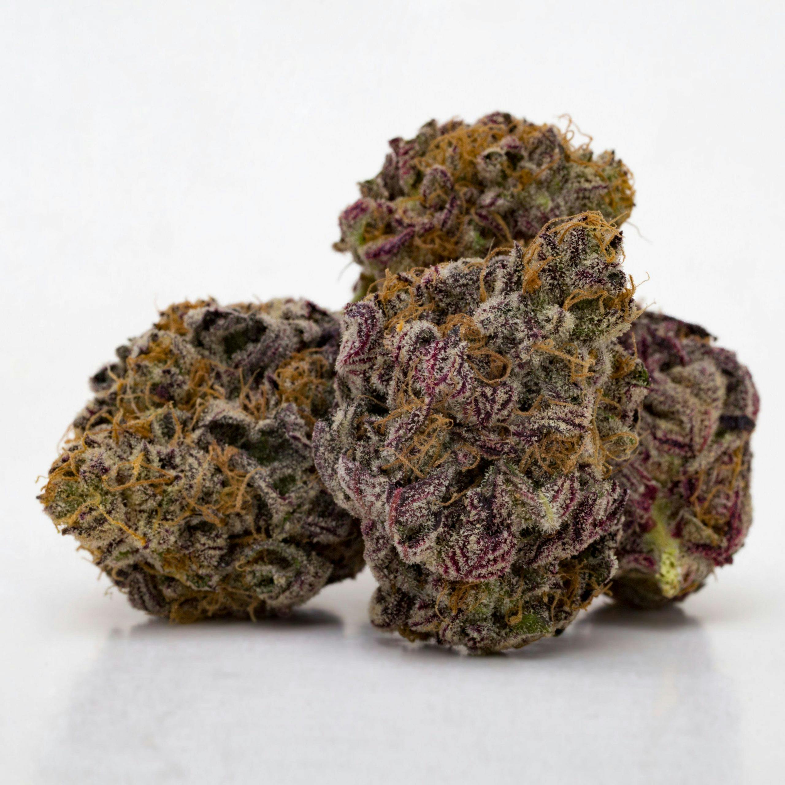 GRAND DADDY PURPLE by Purple Rose 14 Grams 28.67% THC