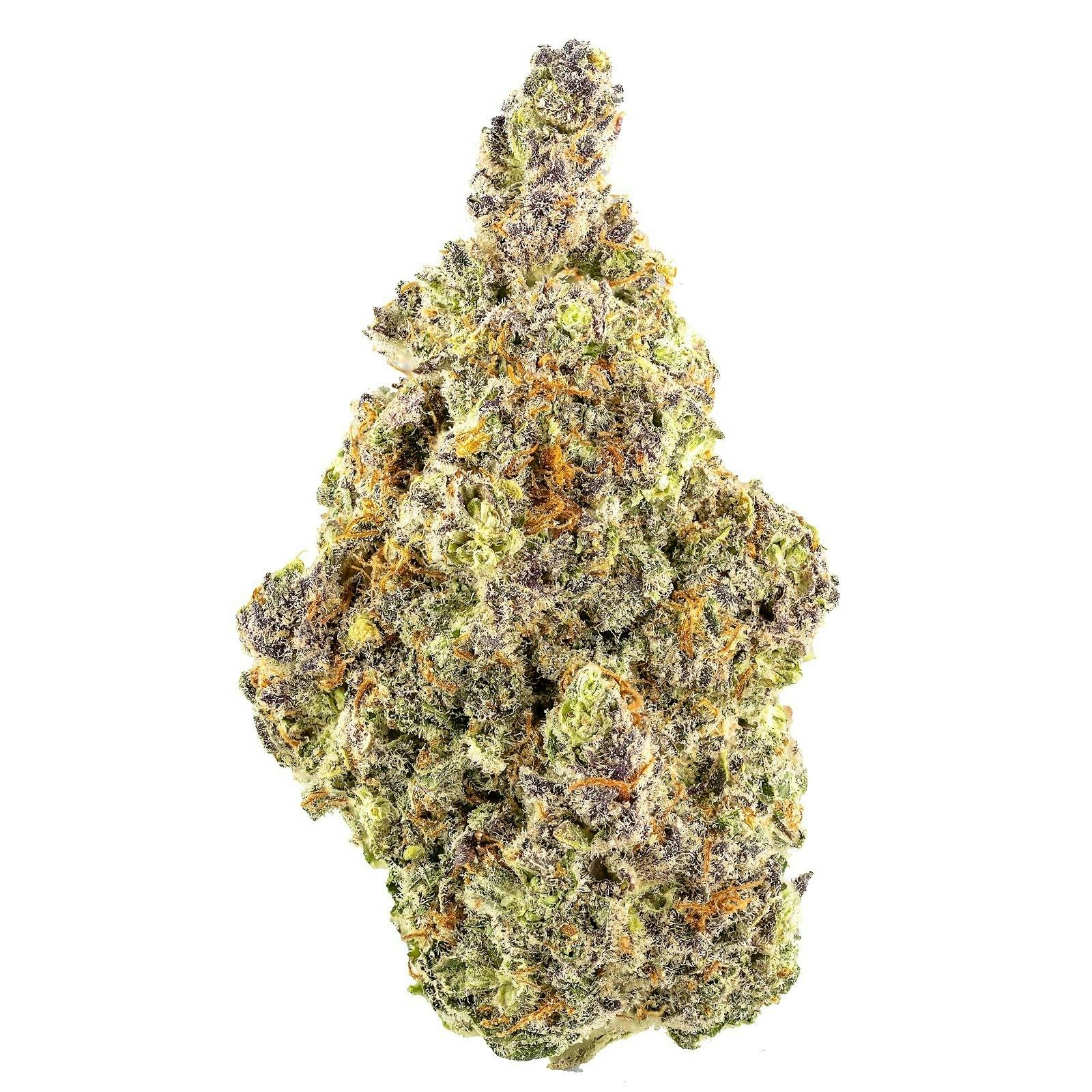 TROPICANA COOKIES 14 Grams 32.11% THC