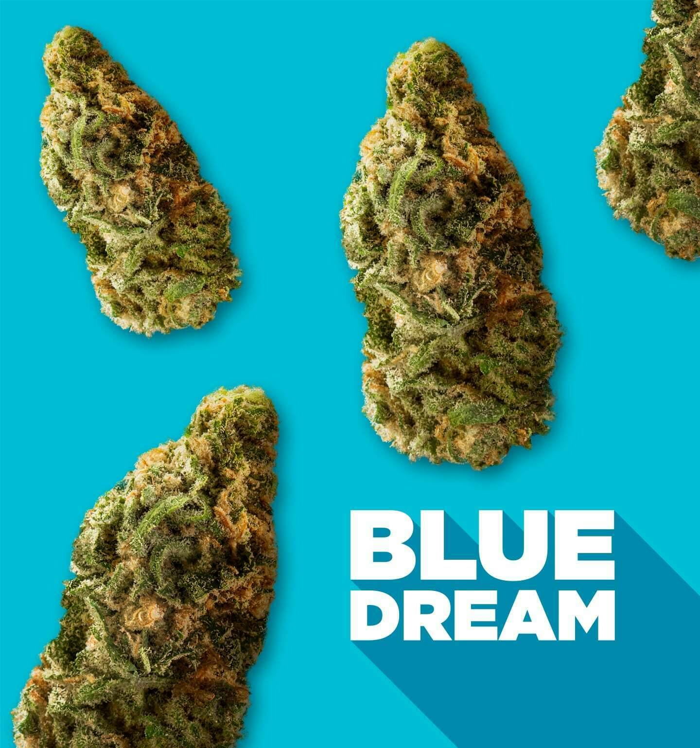 BLUE DREAM THC 28.85% 1/2 OUNCE