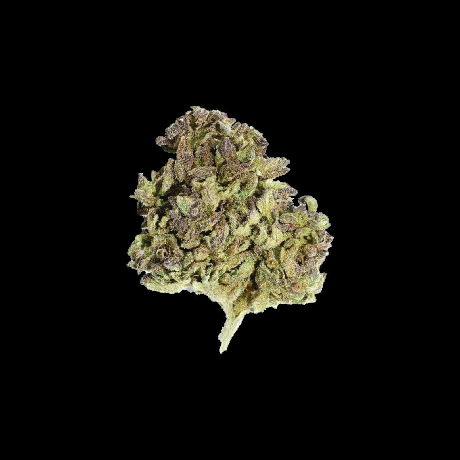 GLACIER | SUPER BOOF | HYBRID | DELI-FLOWER | REC