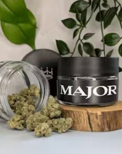 Major | Flower | 3.5g | Blueberry Thinmint