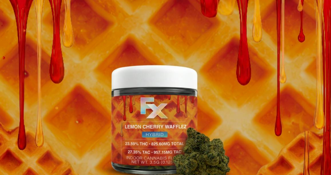 FX | Flower | 3.5g | Lemon Cherry Wafflez