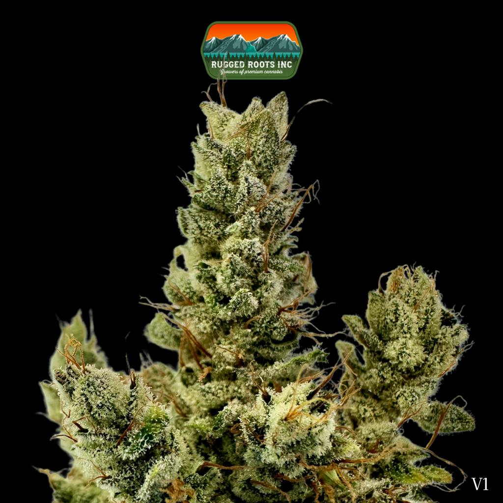 Rugged Roots Gorilla Glue Whole Flower 3.5g