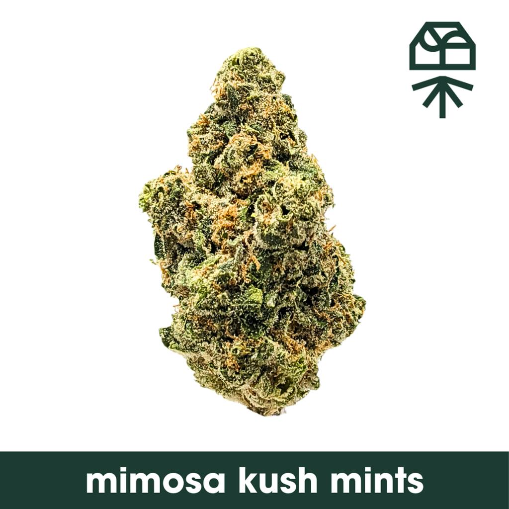 Grassroots Mimosa Kush Mints Small Buds 14g