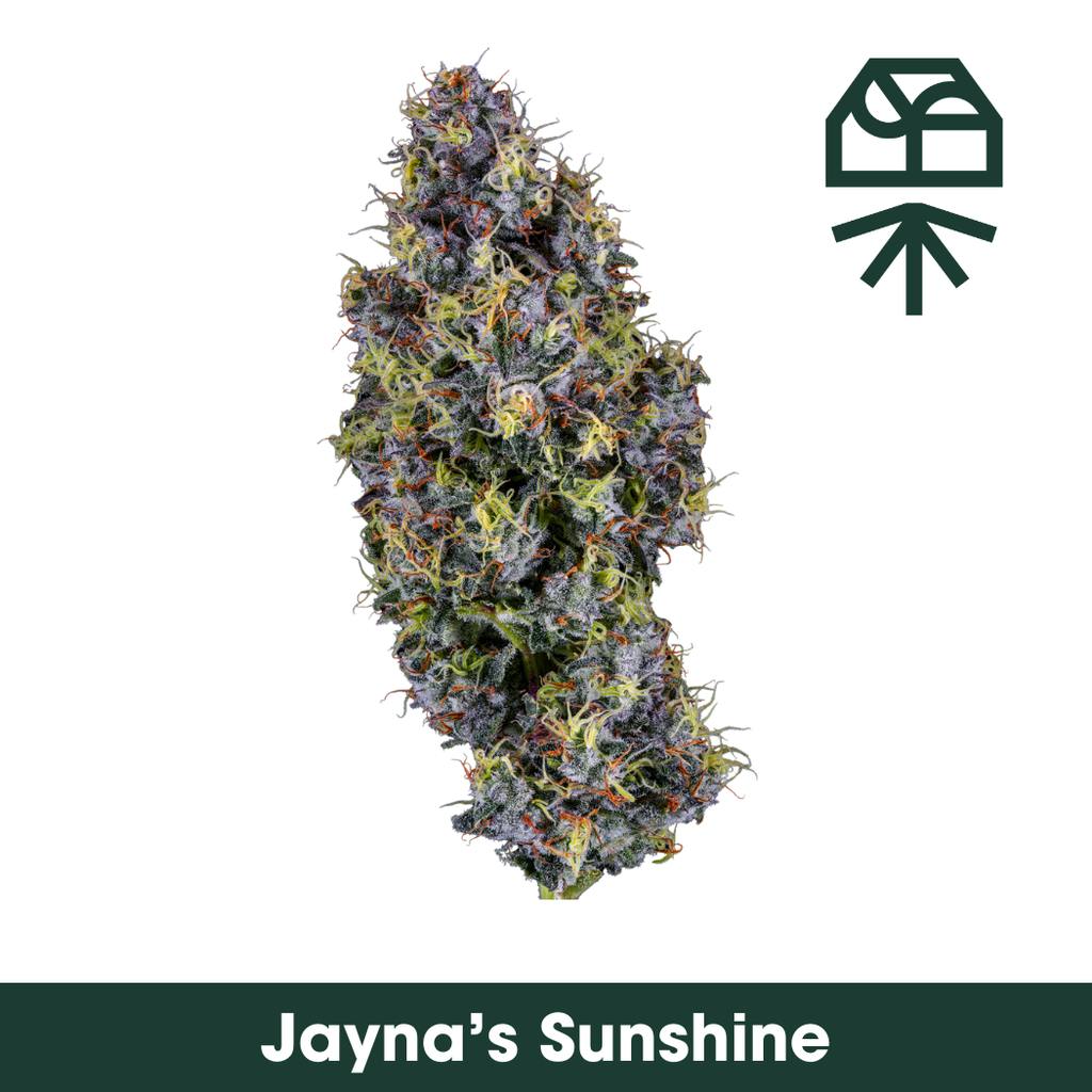 Grassroots Jayna's Sunshine Smalls 14g