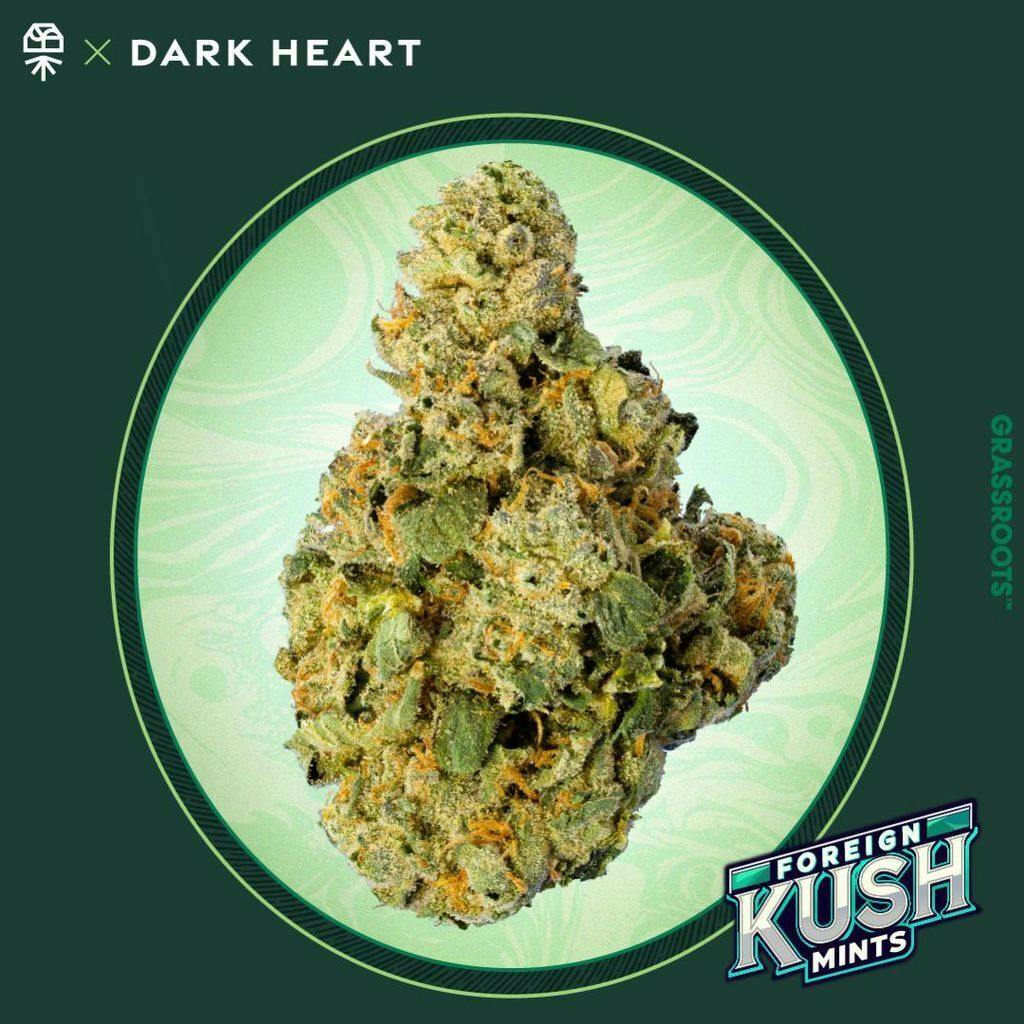 Grassroots Dark Heart Foreign Kush Mints Smalls 14g