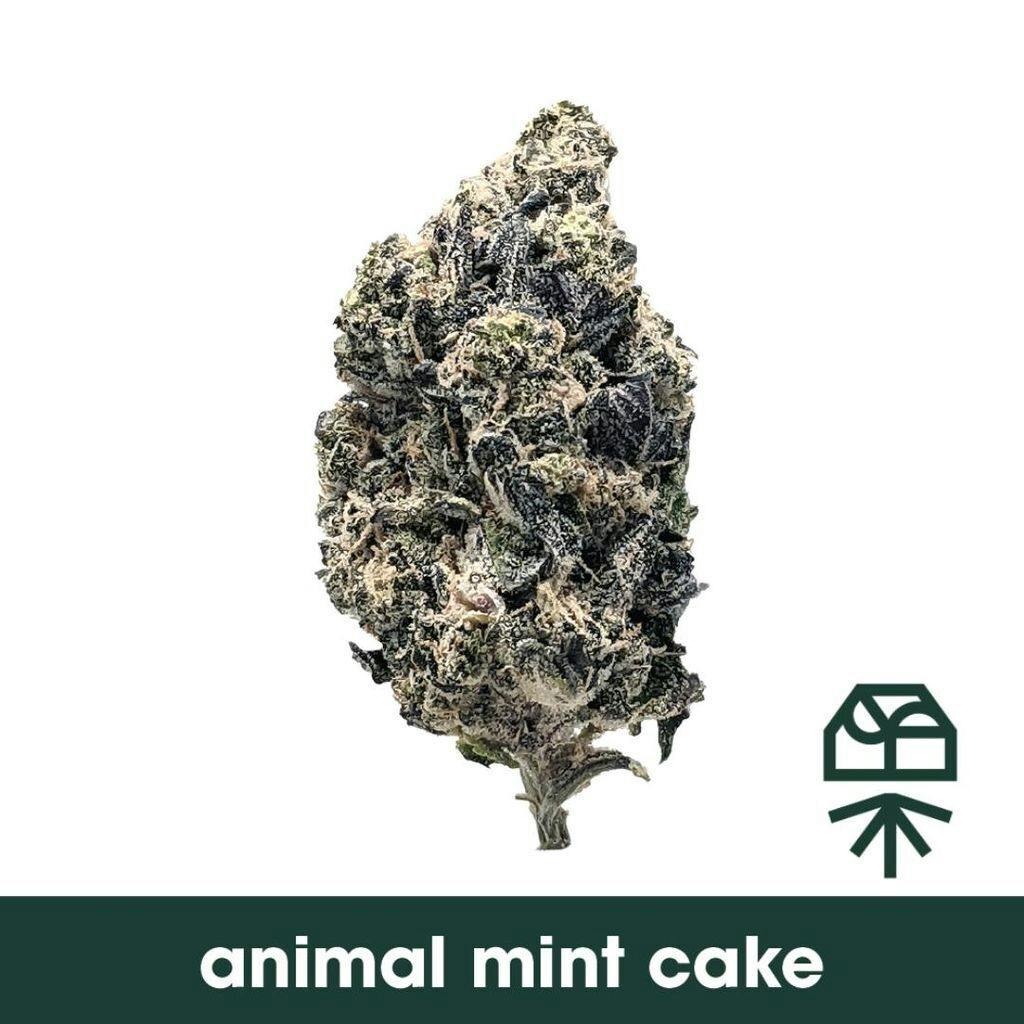 Grassroots Animal Mint Cake Small Buds 14g