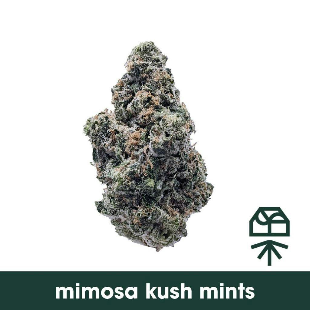 Grassroots Mimosa Kush Mints Whole Flower 14g