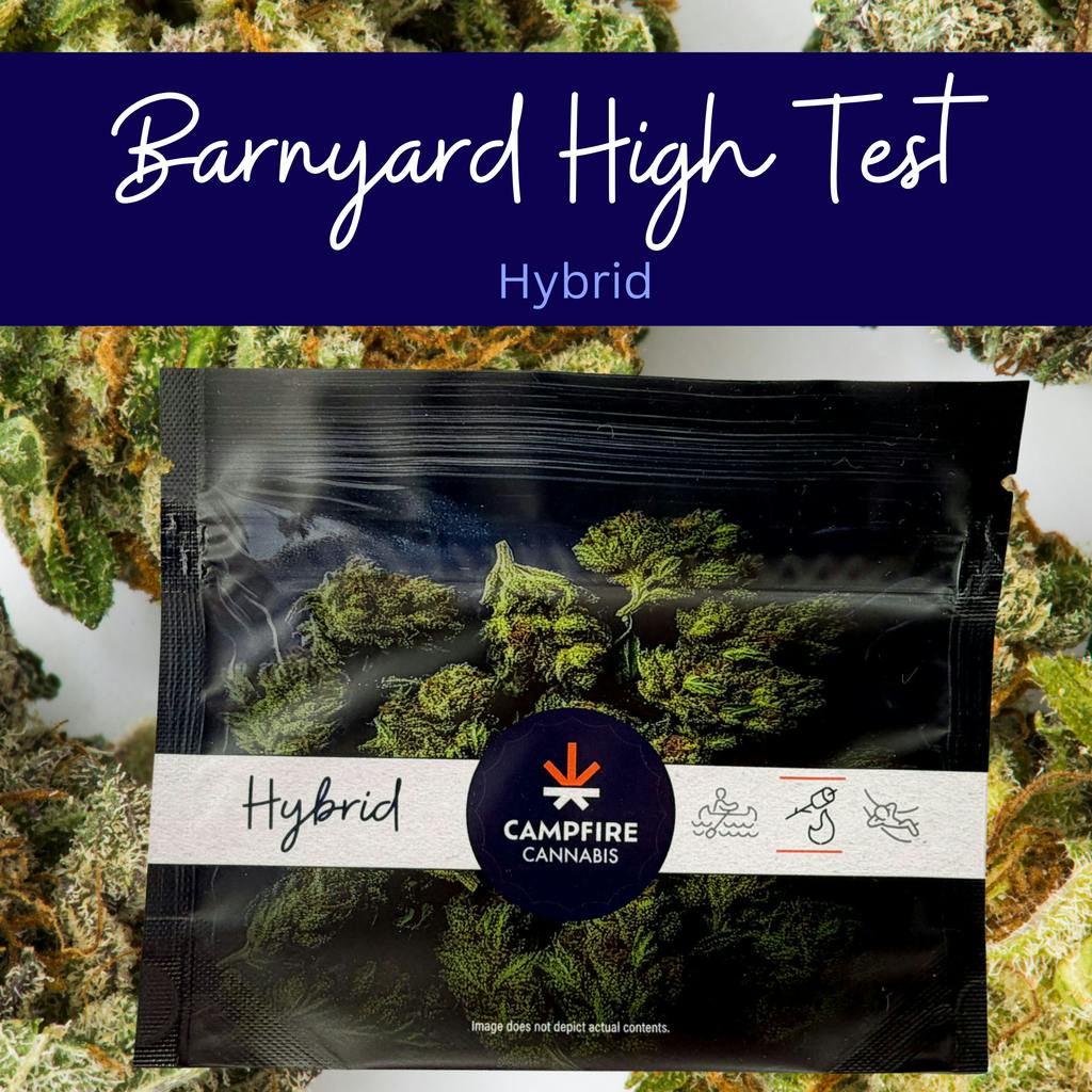 Campfire Cannabis Barnyard High Test Flower 4g