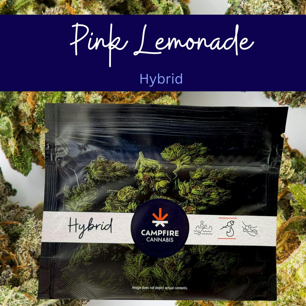Campfire Cannabis Pink Lemonade Flower 4g at Legit Cannabis Dispensary