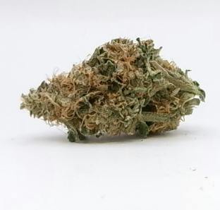 dizgo Orion Flower 3.5g at Legit Cannabis Dispensary