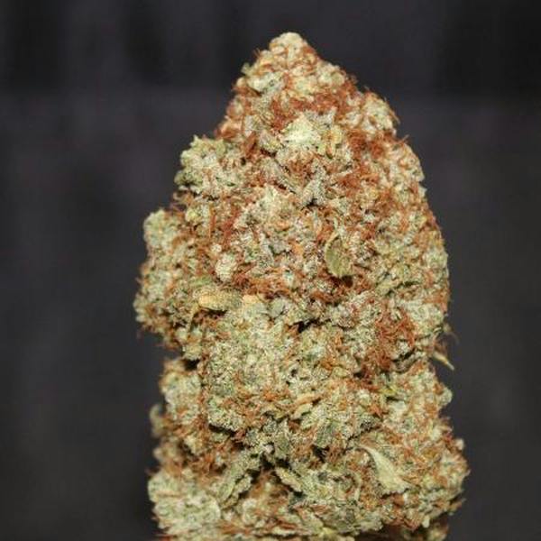 Northpark Fog Dog Flower 3.5g at Legit Cannabis Dispensary
