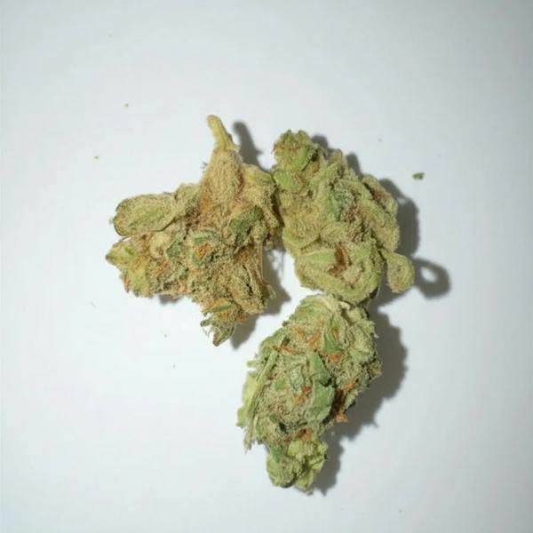 Northpark HiFlyer Flower 3.5g at Legit Cannabis Dispensary