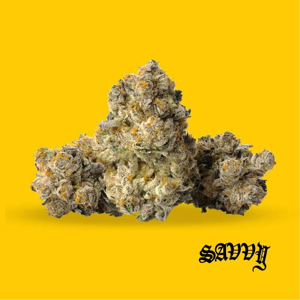 Lemon Pastries | Savvy - Flower