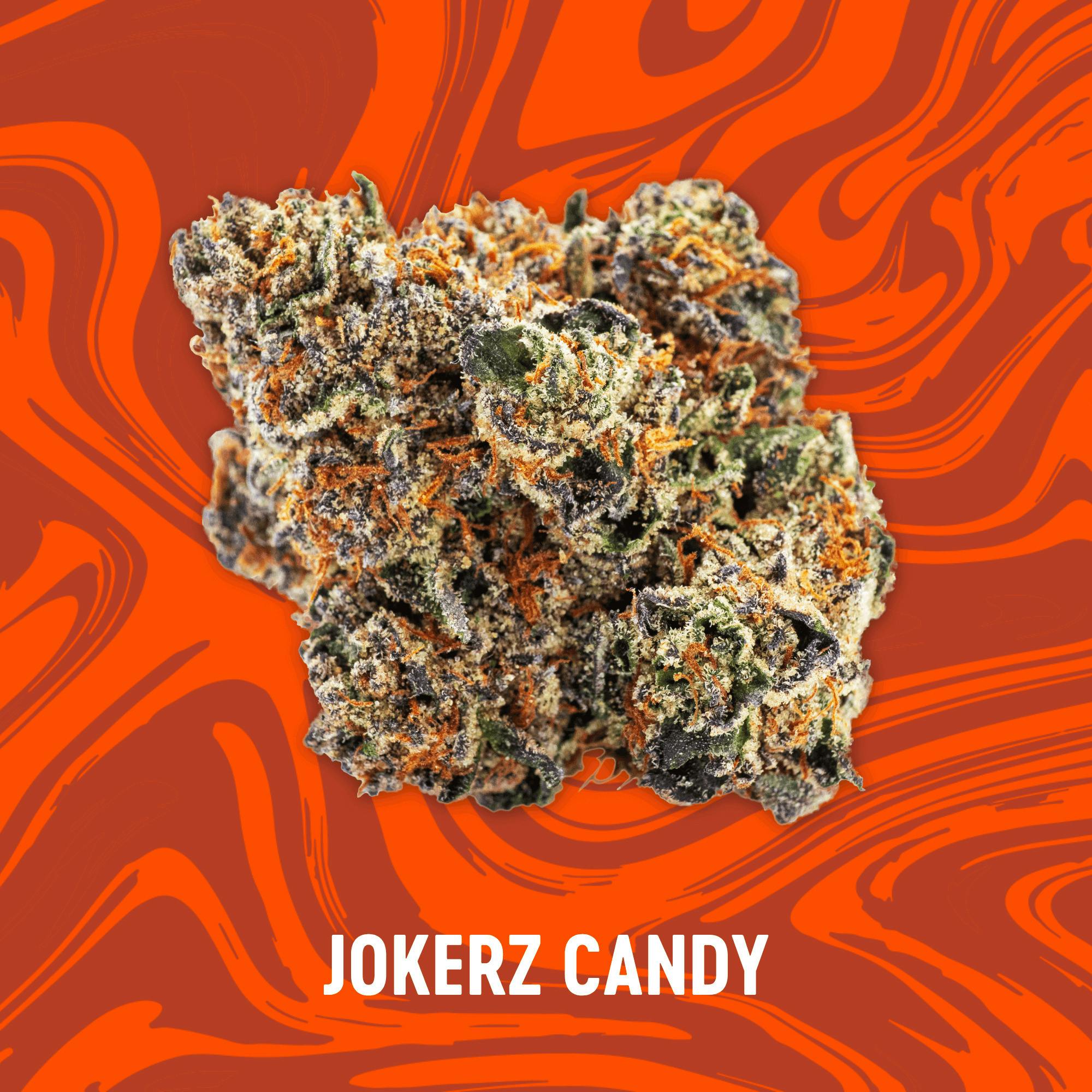 Vivid - Jokerz Candy - Deli Flower - Hybrid