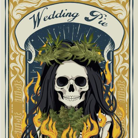 Illicit - Wedding Pie - Deli Flower