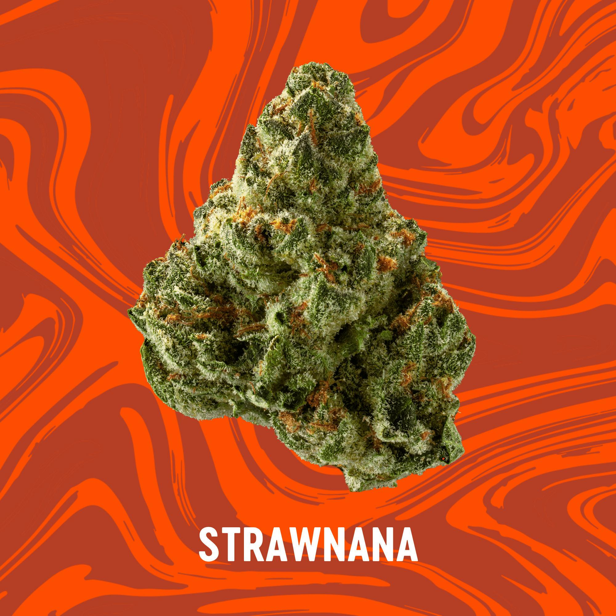 Vivid - Strawnana - Deli Flower