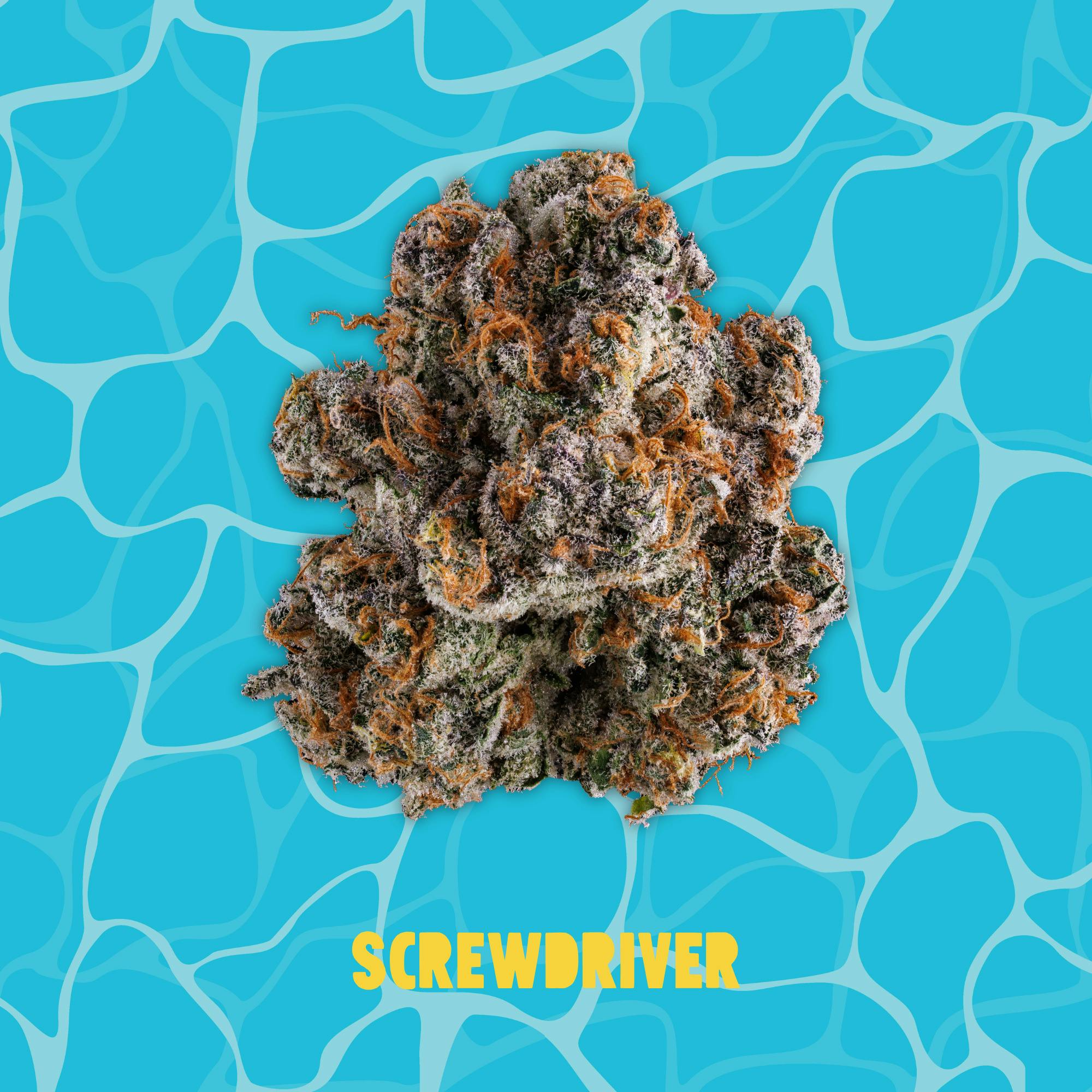 Buoyant Bob - Screwdriver - Deli Flower at Blue Sage Cannabis Deli - Belton