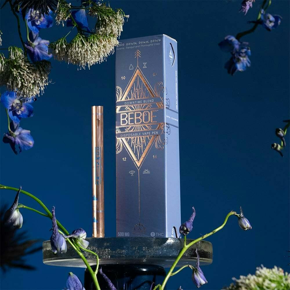 Downtime Blueberry [500mg] | Beboe - Disposable
