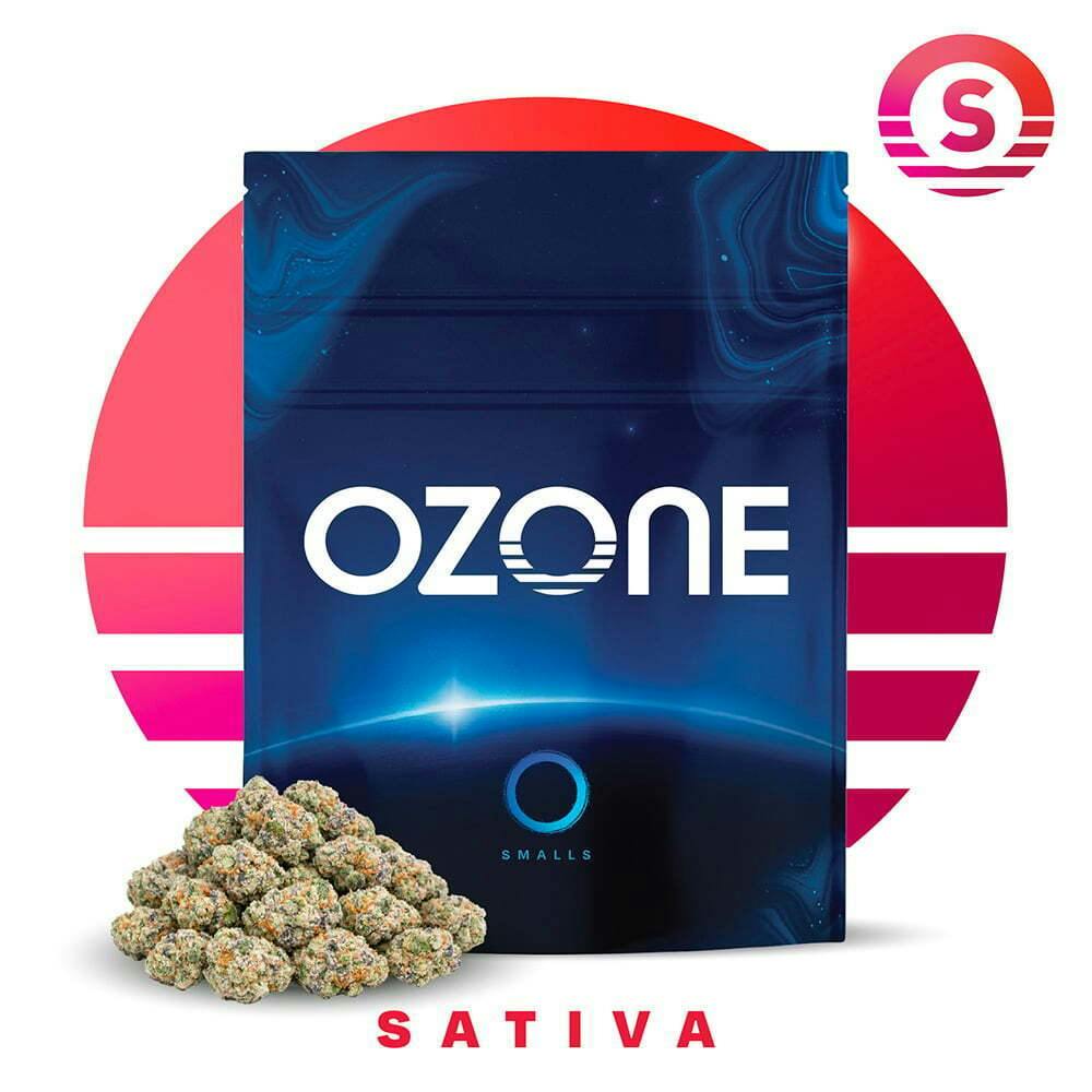 Animal Cake | Ozone - Smalls