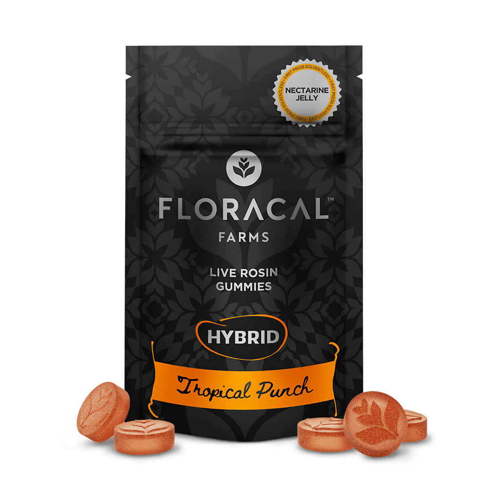 Live Rosin Gummies - Tropical Punch [10pk] (100mg) | FloraCal™ - Live Rosin Gummies