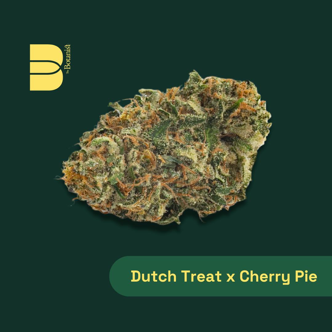 Dutch Treat x Cherry Pie | Botanist - Smalls