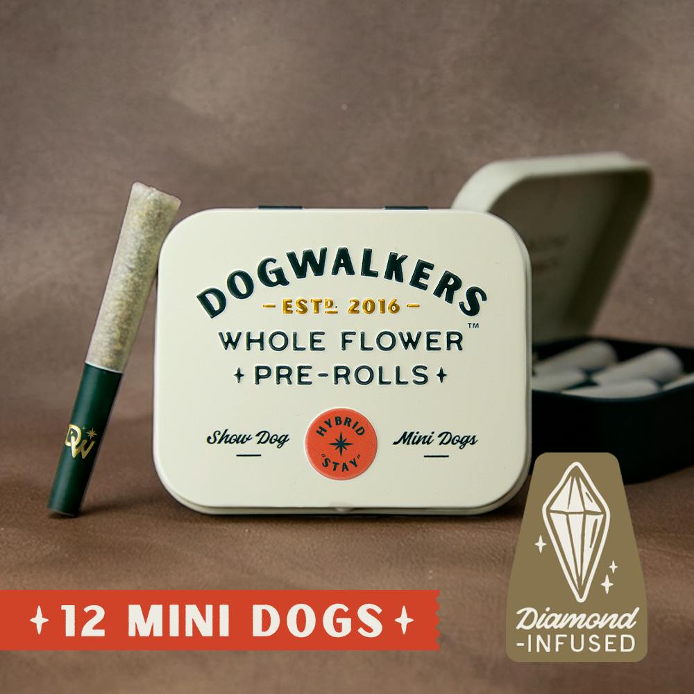 Runtz S1 [.45g] | Dogwalkers - 12 Pack Mini Show Dogs Infused Pre-Rolls
