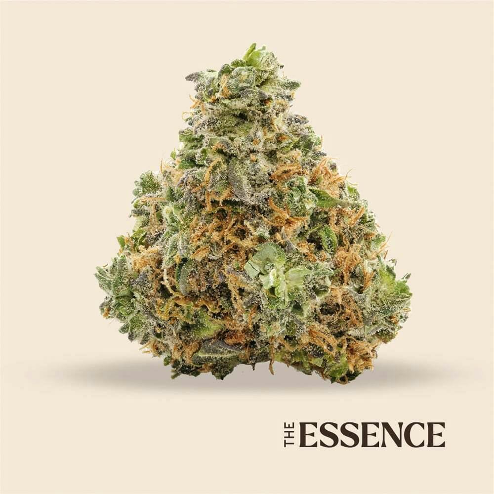 Melonade | (the) Essence - Premium Flower