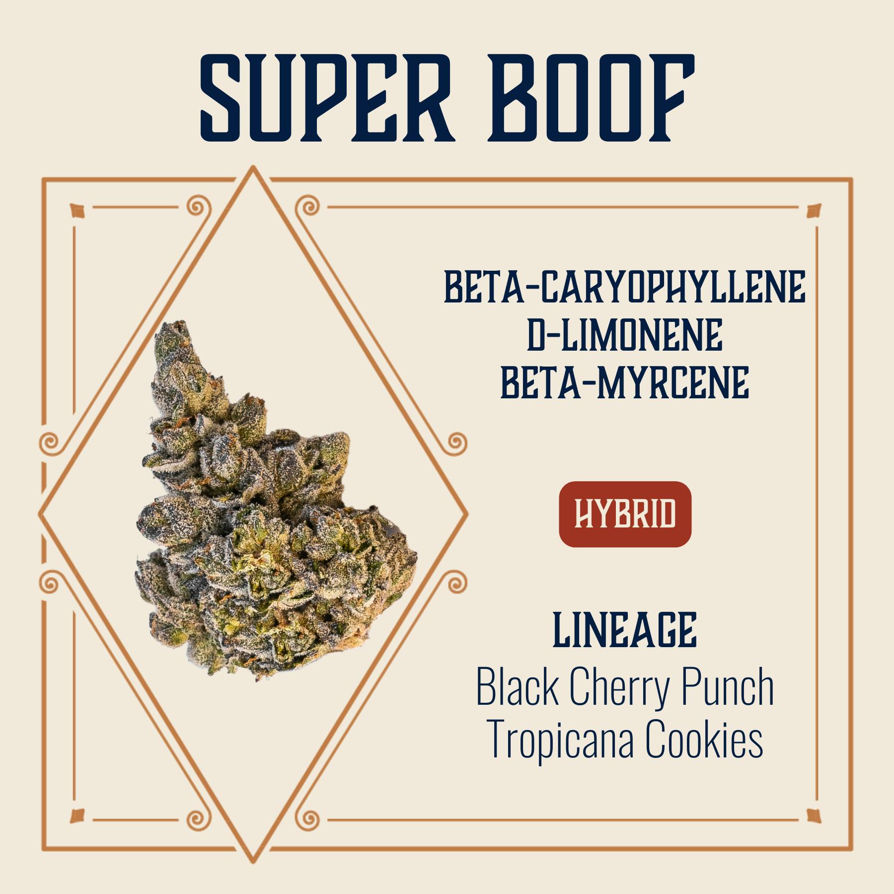 Super Boof | Elevate