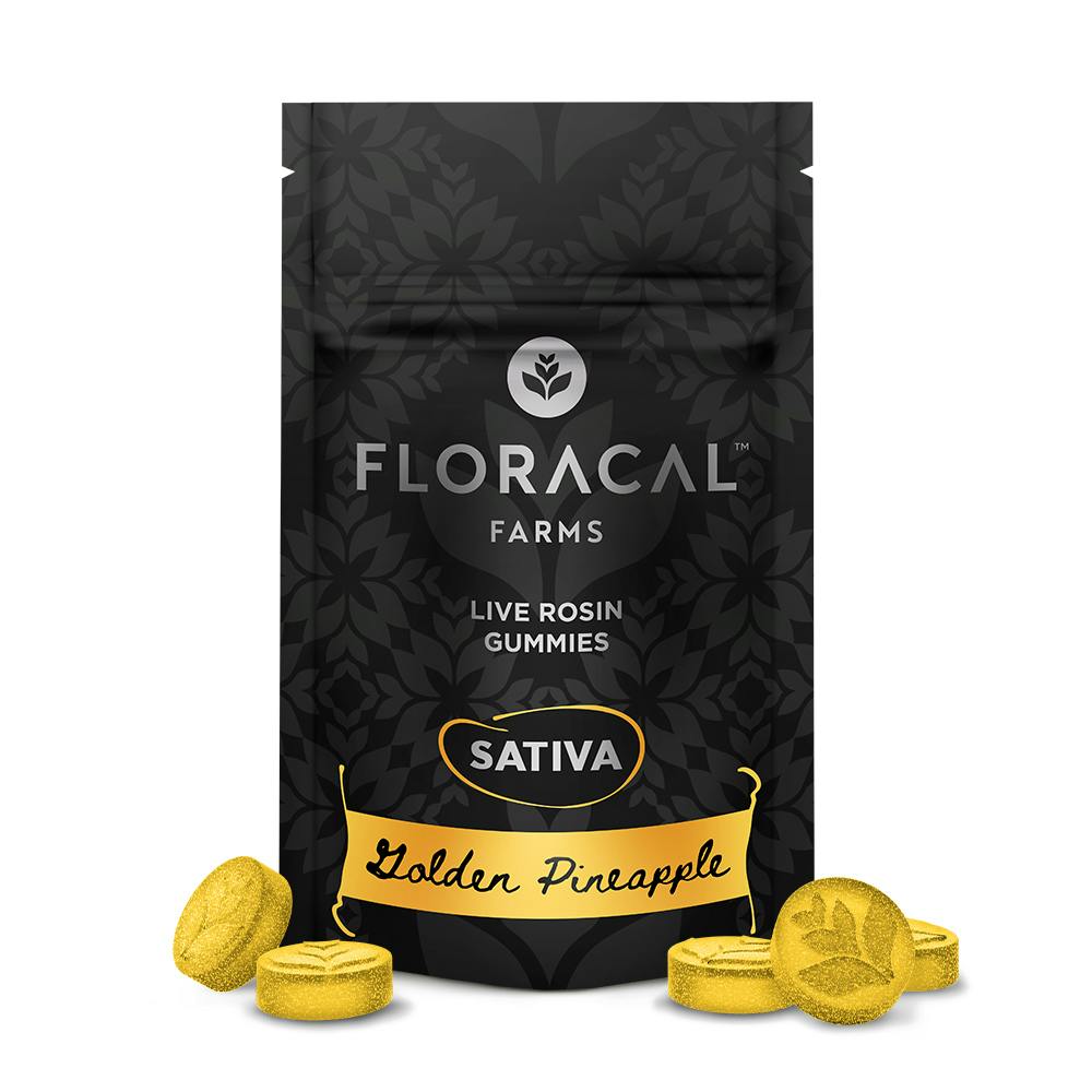 Live Rosin Gummies - Golden Pineapple [10pk] (100mg) | FloraCal™ - Live Rosin Gummies