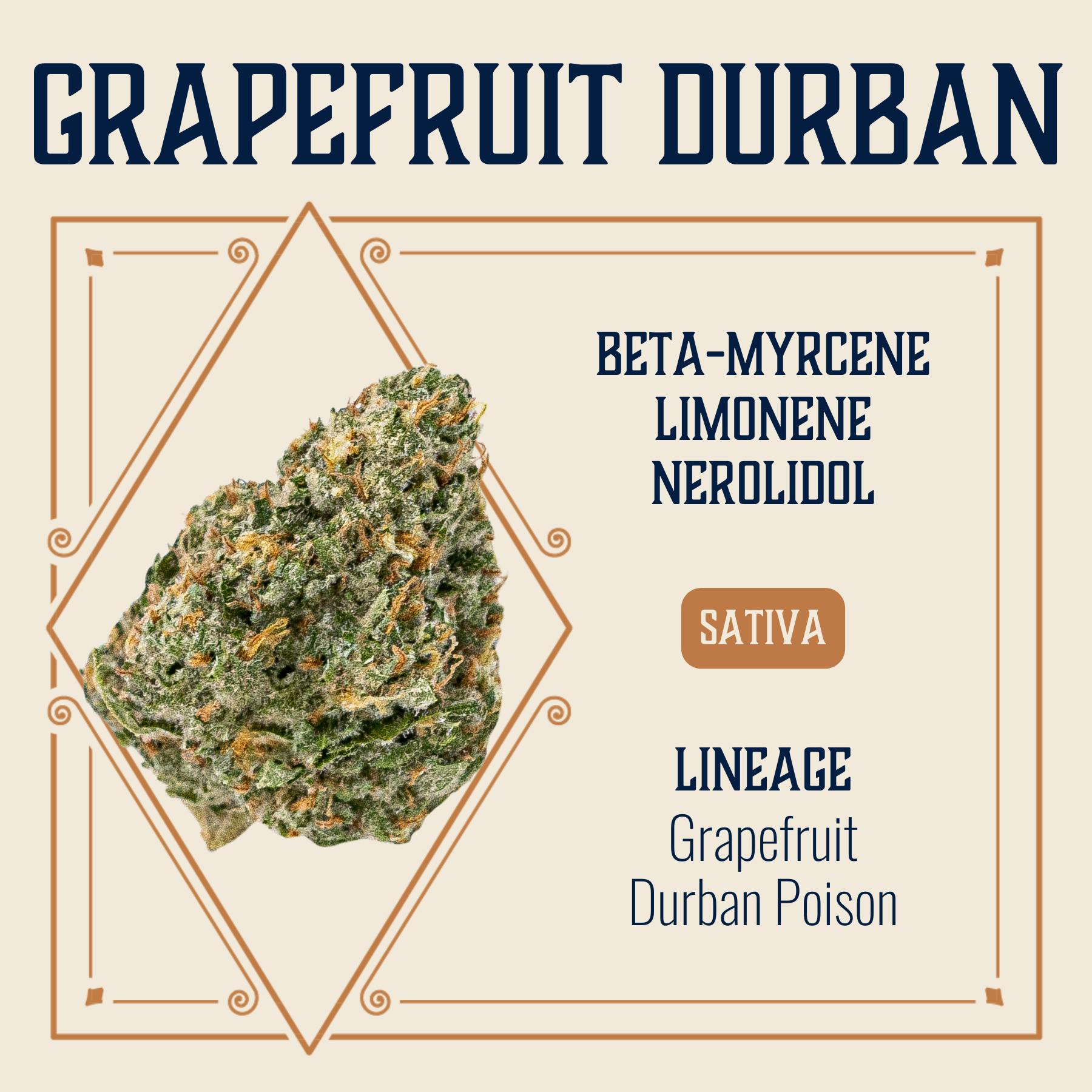 Grapefruit Durban | Elevate