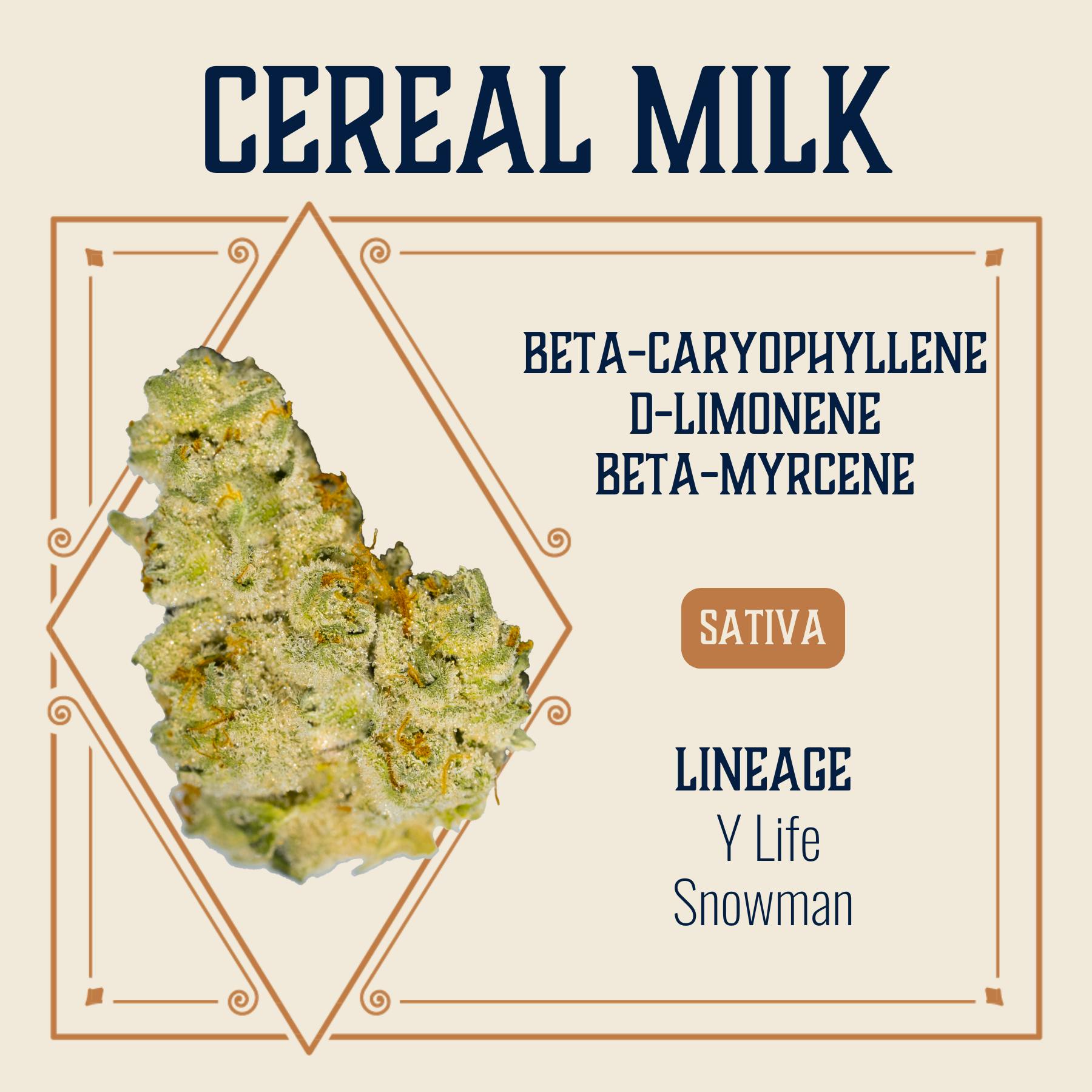 Cereal Milk | Elevate