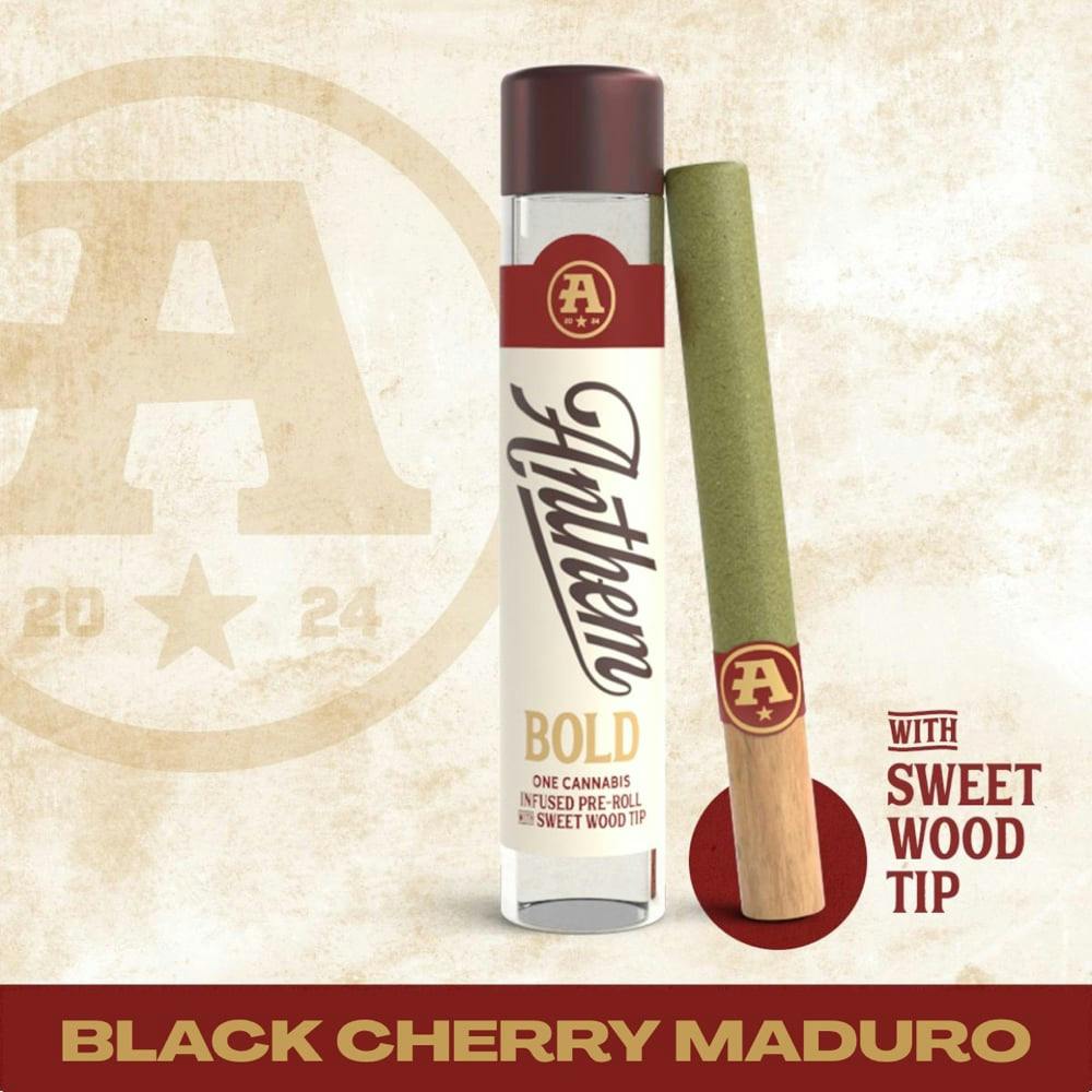 Bold Infused Black Cherry Maduro [1g] | Anthem - Bold Infused Pre Roll