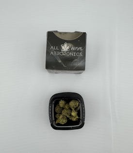 All Ways Aeroponics 1g Moon Rock Mango Sunrise