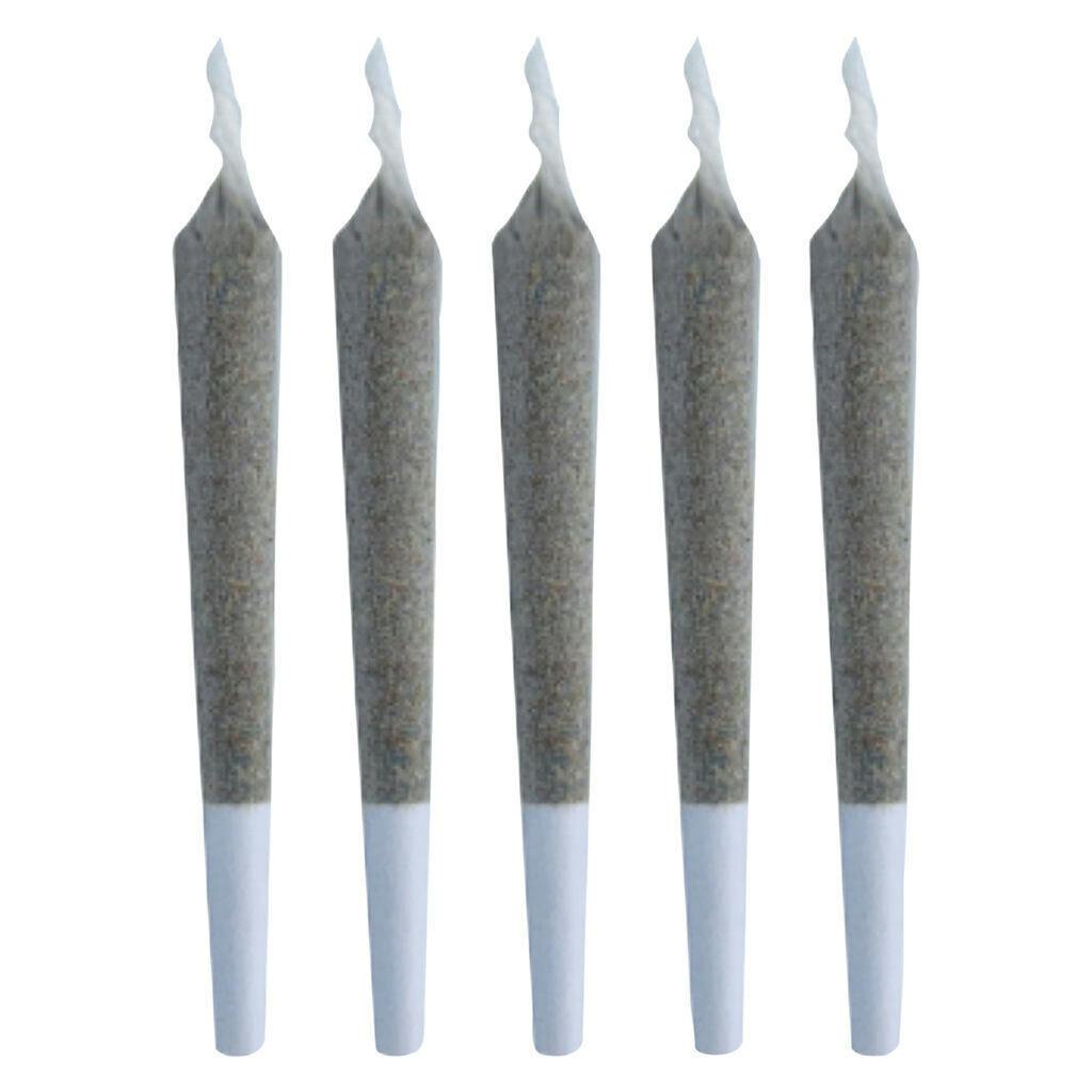 Cosmic Cookies Pre-Roll