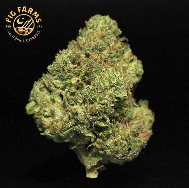 Fig Farms - Fabulosa - 3.5g