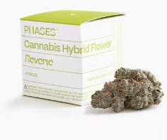 Phases - Phases - Gorilla Cookies - 3.5g - Muse