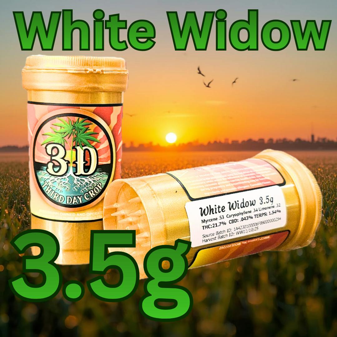 Third Day Crop 3.5g | White Widow XXL