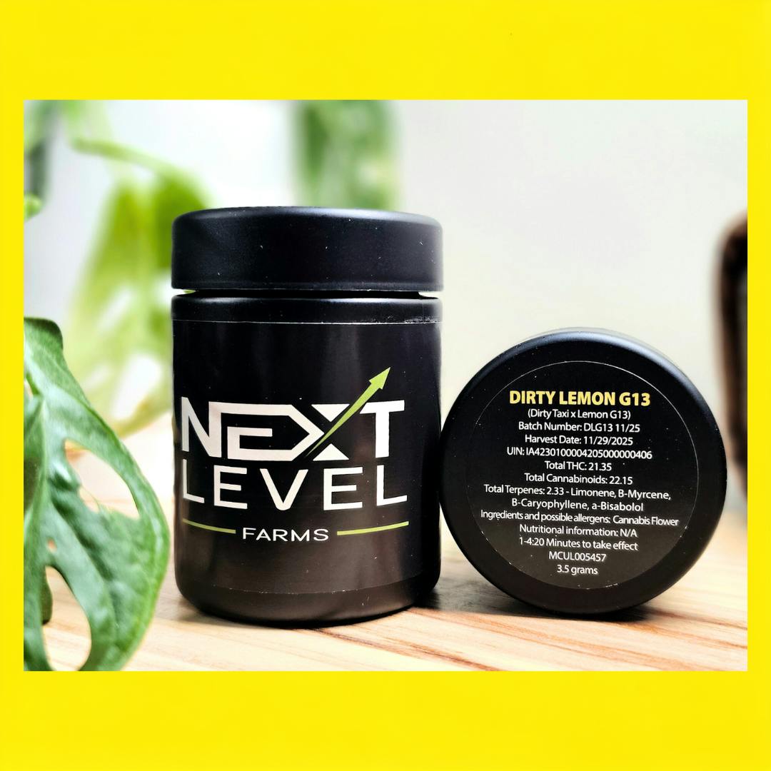 Next Level 3.5g | Dirty Lemon G
